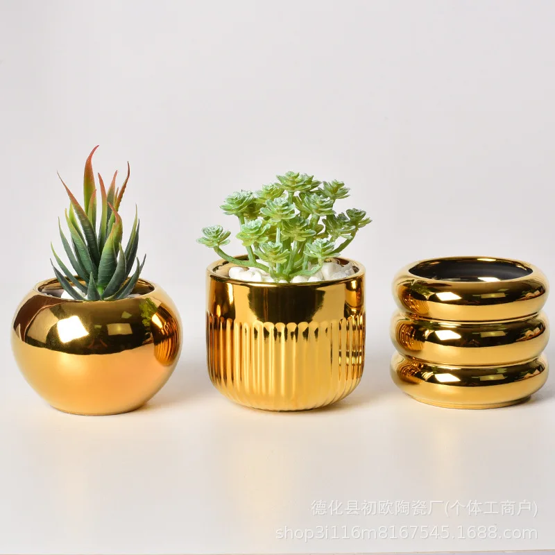 Yjq 3pcs ceramic flower pot electroplated golden Phalaenopsis simple creative green plant potted spherical flower device