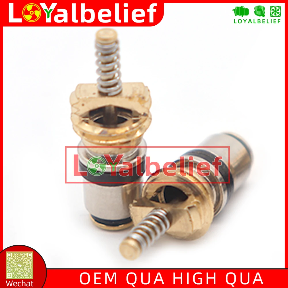 10/100 Pieces Air Conditioning Charge Cold Medium Interface Valve Core For Peugeot Air-conditioning Installation