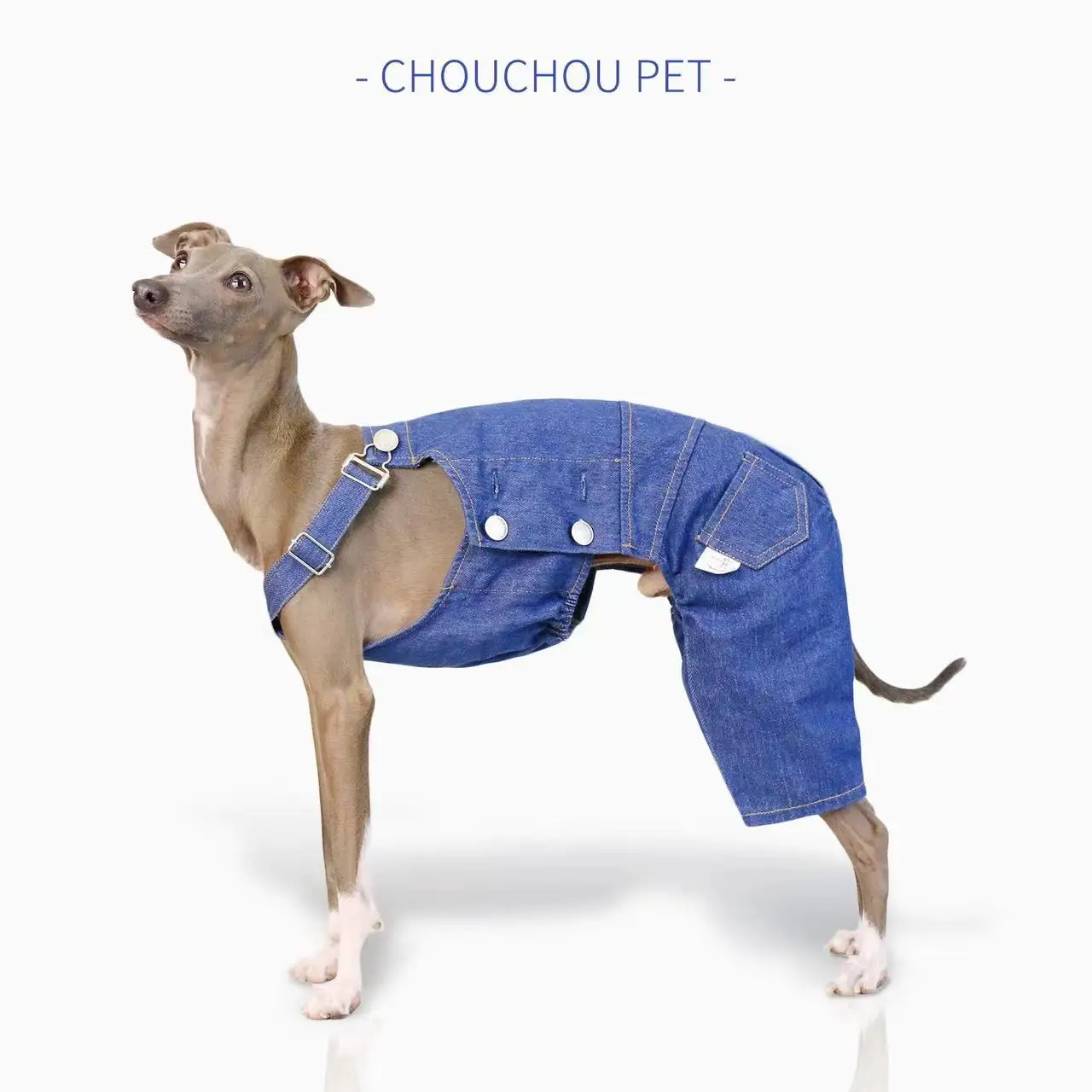 Italian greyhound denim overalls retro classic leg protection cloth fashionable whippet adjustable pants