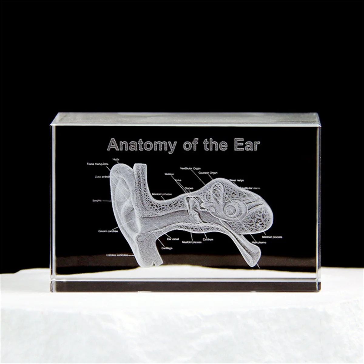

AA98 3D Ear Organ Model Crystal Cube Otology Science Gifts Crystal Glass Figurine Paperweight Human Organ Statue A