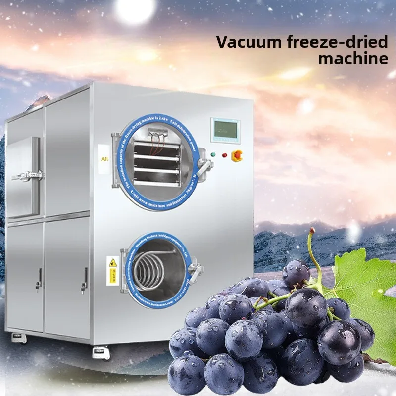 

Small Astragalus Powder 1 Square Meter Chinese Herbal Medicine Vacuum Low Temperature Dryer Cordyceps Freeze Drying Equipment