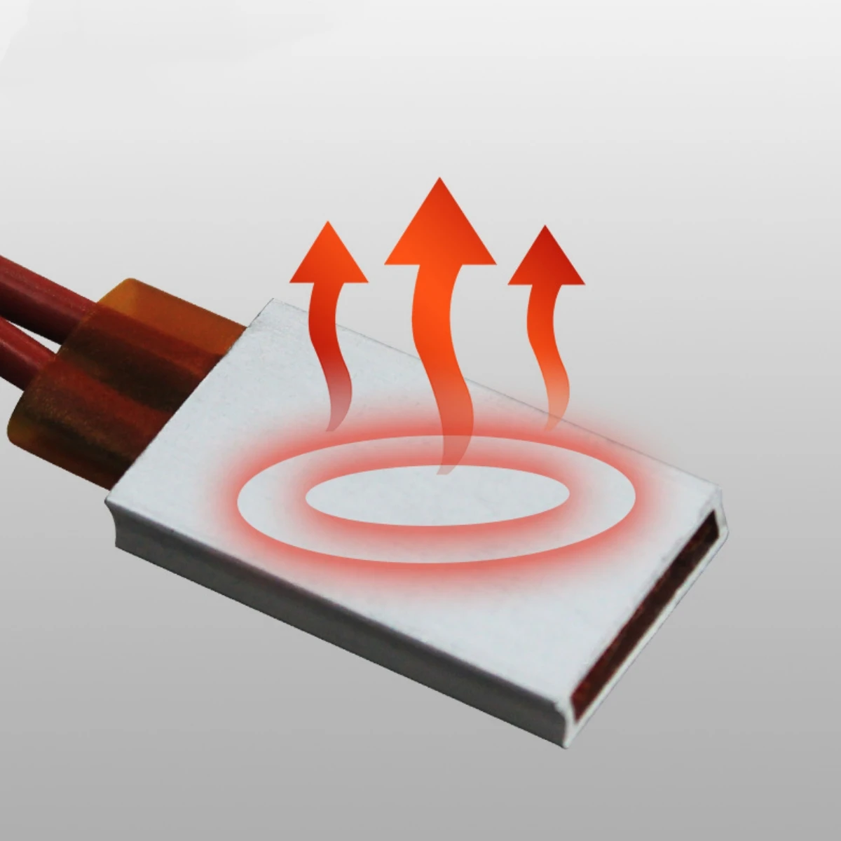 2 قطعة عنصر تسخين PTC 220 فولت/12 فولت 0-220 درجة مئوية لوحة تسخين حاضنة الدواجن تركيبات سخان مصباح السحلية السلحفاة #4