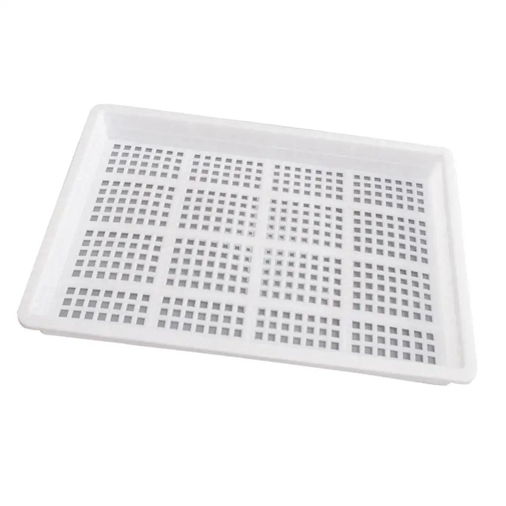 Seed Starting Plant Propagation Germination Trays Establish A Plant System