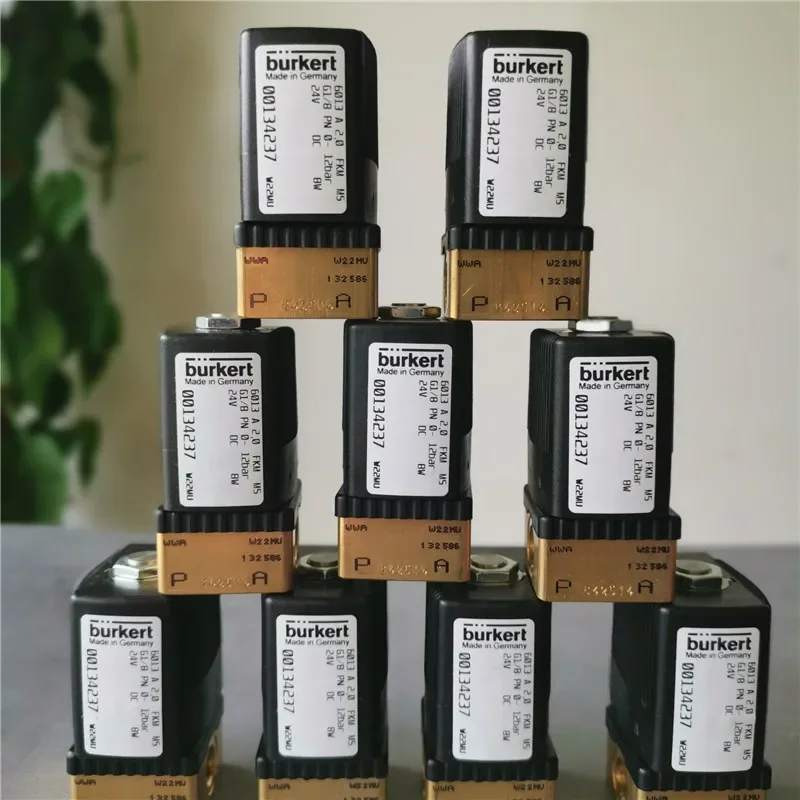 2025.4Burkert6013 A…