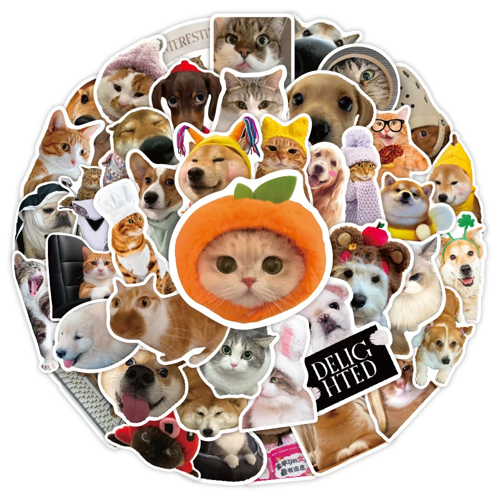 10/30/50 Stück Kawaii Katzen- und Hunde-MEME Graffiti-Aufkleber Lustige Tier-Sticker DIY Skateboard Gitarre Gepäck Belohnung Niedliche Cartoon-Aufkleber