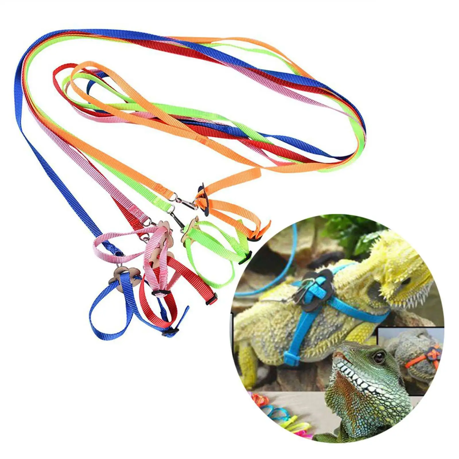 Reptile Lizard Dragon Harness Leash Adjustable Walking Hauling Cable Belt Traction Training Rope Pet Supplies Collar Chest Strap