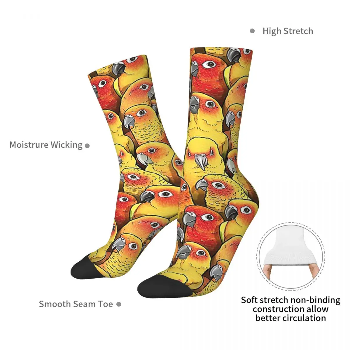 Sun Conures Socks Harajuku Super Soft Stockings All Season Long Socks Accessories for Unisex Gifts