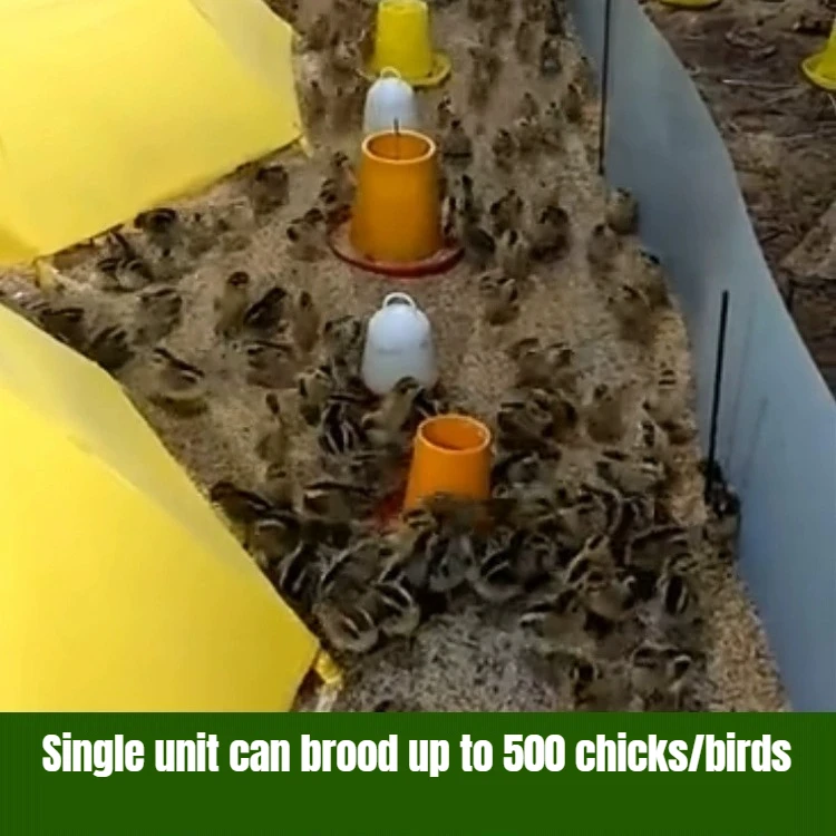 

Термостатический обогреватель-лампа для птенцов и домашней птицы - Автоматическая нагревательная пластина/лампа для цыплят, утят и других домашних животных