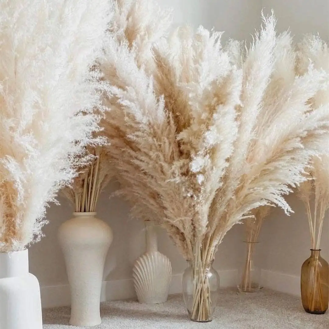 Fluffy Large Pampas Grass Flowers, Tall Natural Dried Pampas for Garden Decoration, Outdoor Dried Flowers, Wedding Arch Decor