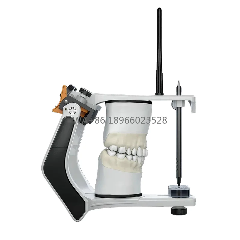 

Высокопрочный съемный стоматологический артикулятор для стоматологов