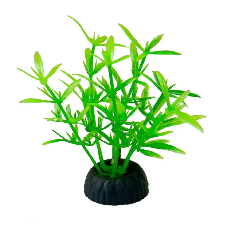 

Decorative Artificial Aquatic Plants Simulation Mini Underwater Aquatic Plants Plastic Lifelike Artificial Seaweed Home