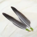 2pcs