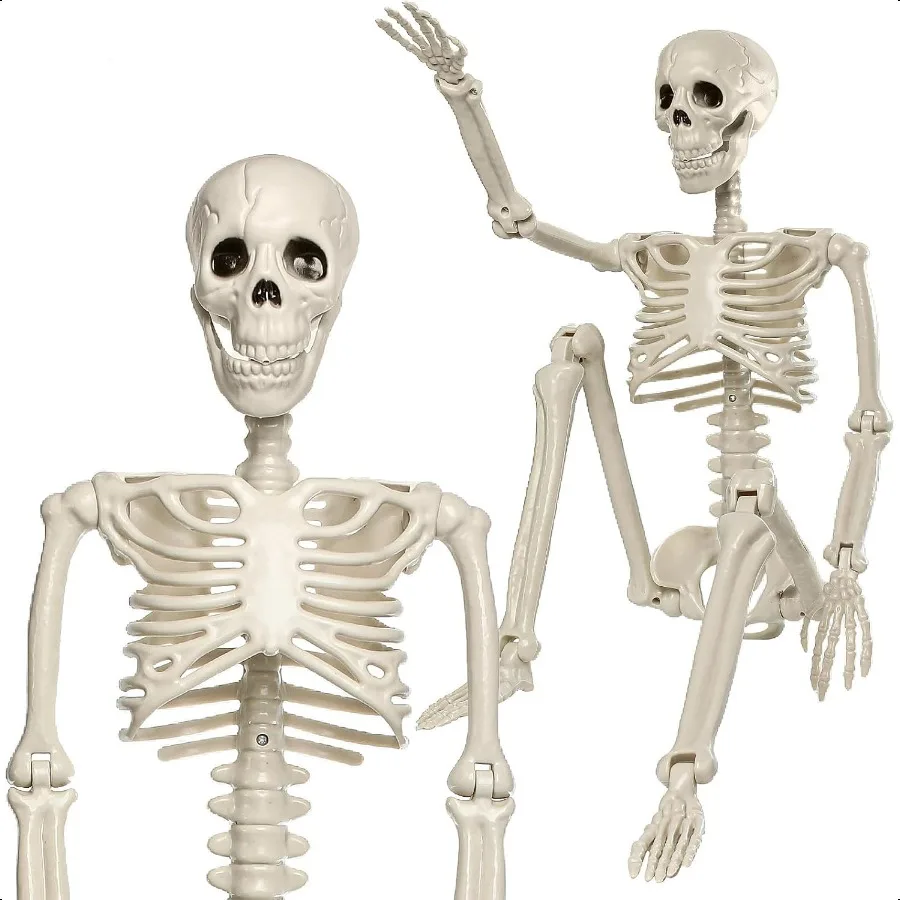 

2 шт., 3 фута, украшения в виде скелета, 36 позиемых суставов всего тела, пластиковый скелет, реалистичные человеческие кости, реквизит для Хэллоуина, вечеринки, двора