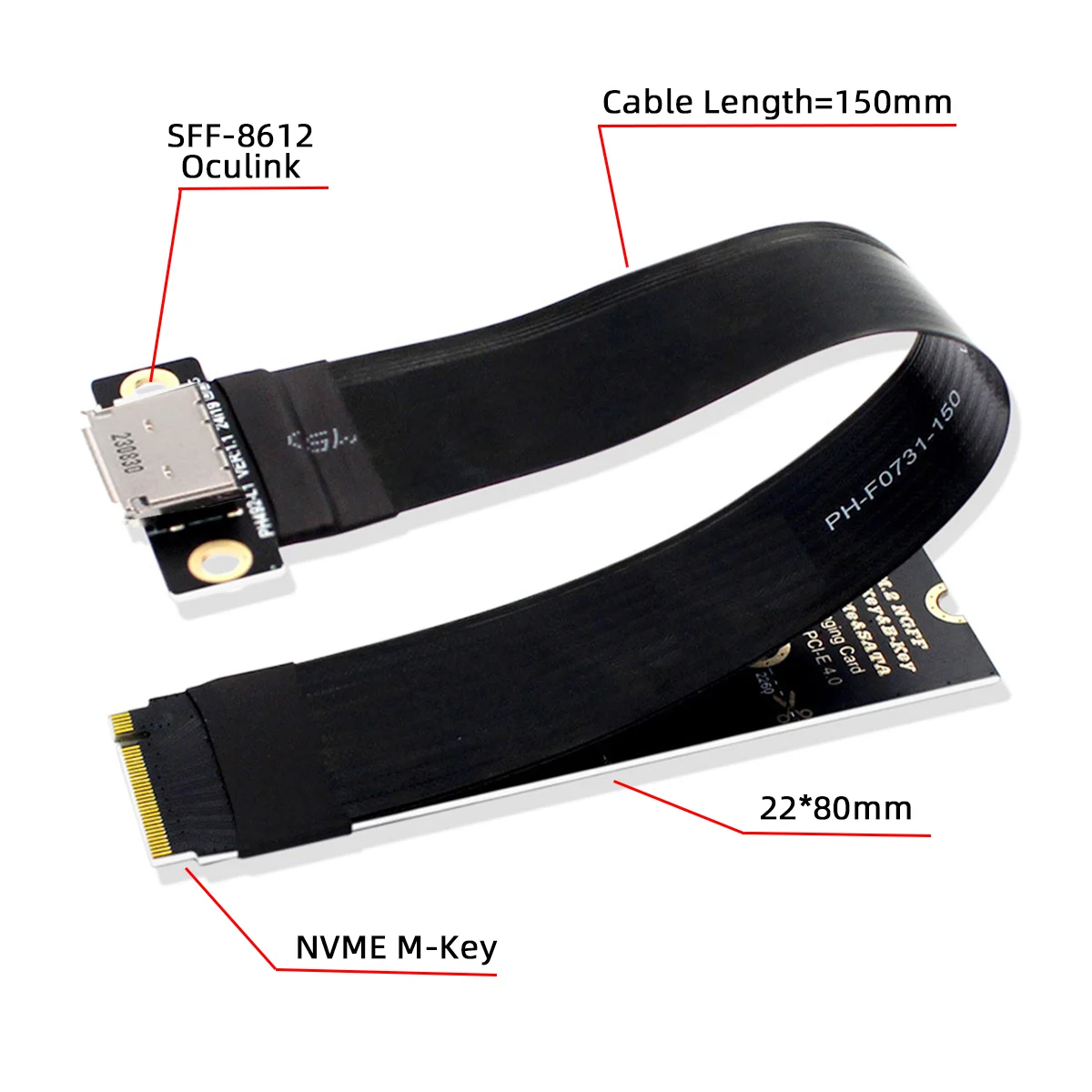 CableCC PCI-E4.0 M.2 M-key 2280 NGFF to Oculink SFF-8611 SFF-8612  Host Extension Cable 15cm for NVME U.2 SSD eGPU