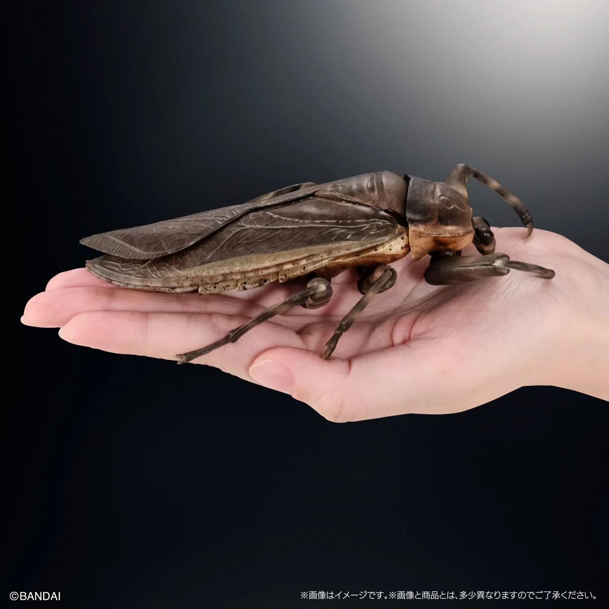 In Stock BANDAI Big Biological Map Of Lethocerus Aquatic Insect  The Diversity of Life on Earth Model Gacha PREMIUM GASHAPON