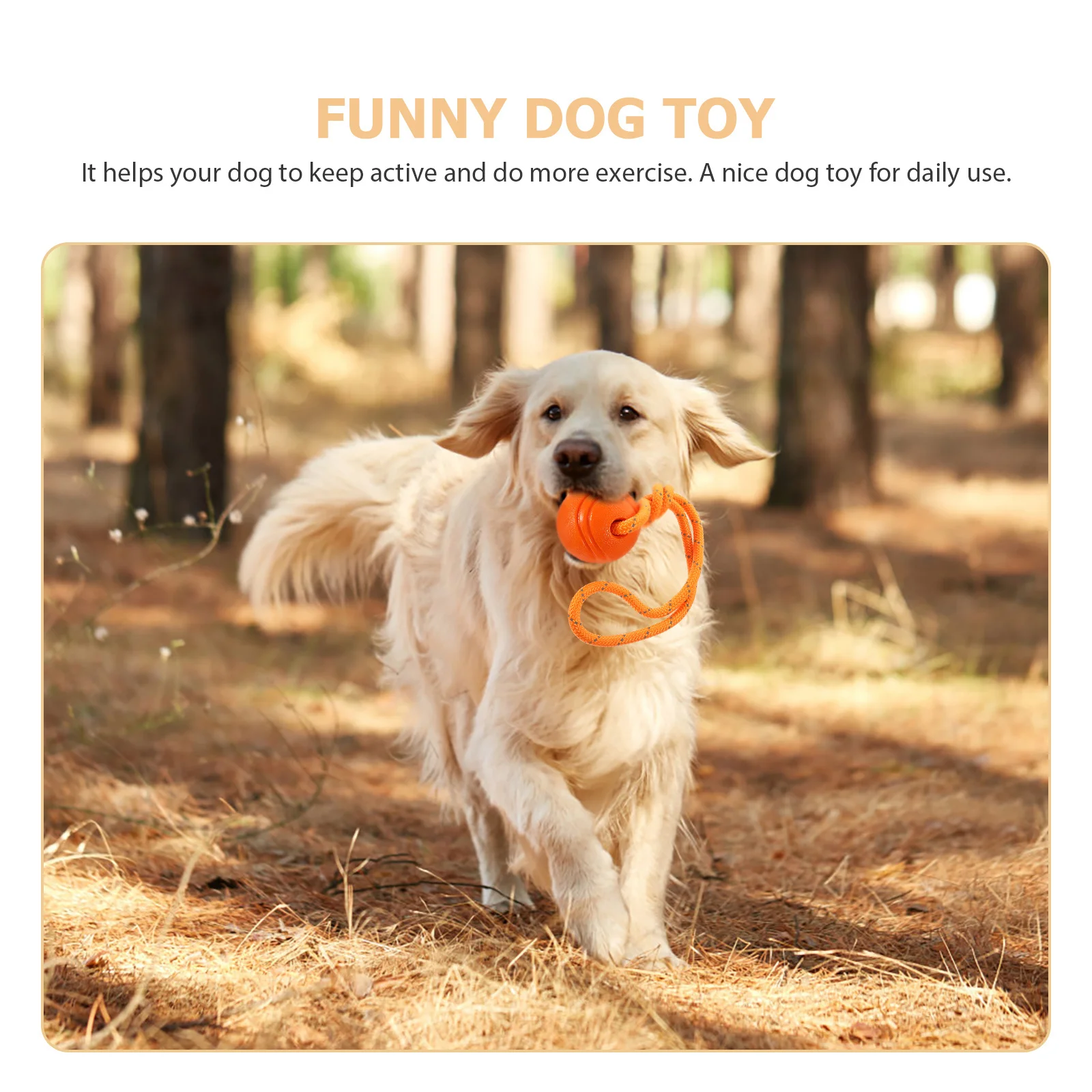 

Wear-Resistant Pet Chew Ball for Dogs Encourages Independent Play Improves Fitness and Mental Health Ideal Gift for Dog Lovers