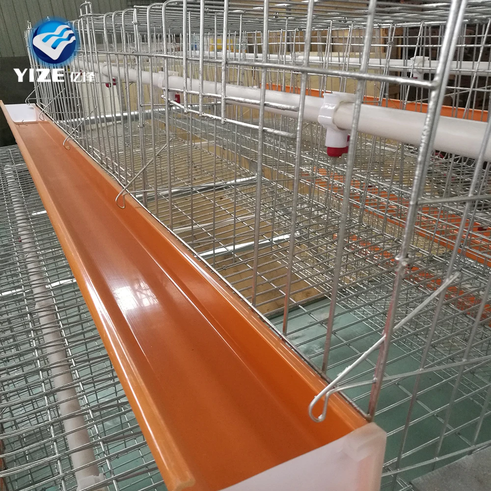 China Factory Automatic Chicken Coop Used/Automatic Equipment Poultry Algeria