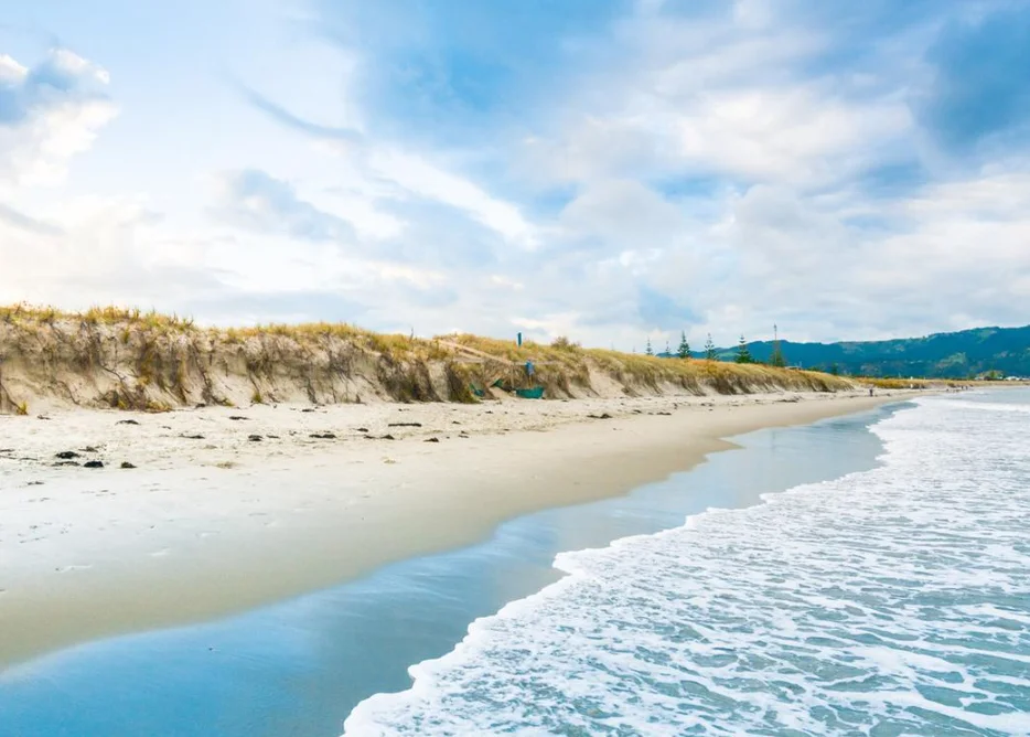 

OverShoot MY Servo MB-2290SG - 8.4V Coreless Digital Servo with 25/45/65kg Titanium Gear for RC Helicopter Upgrades