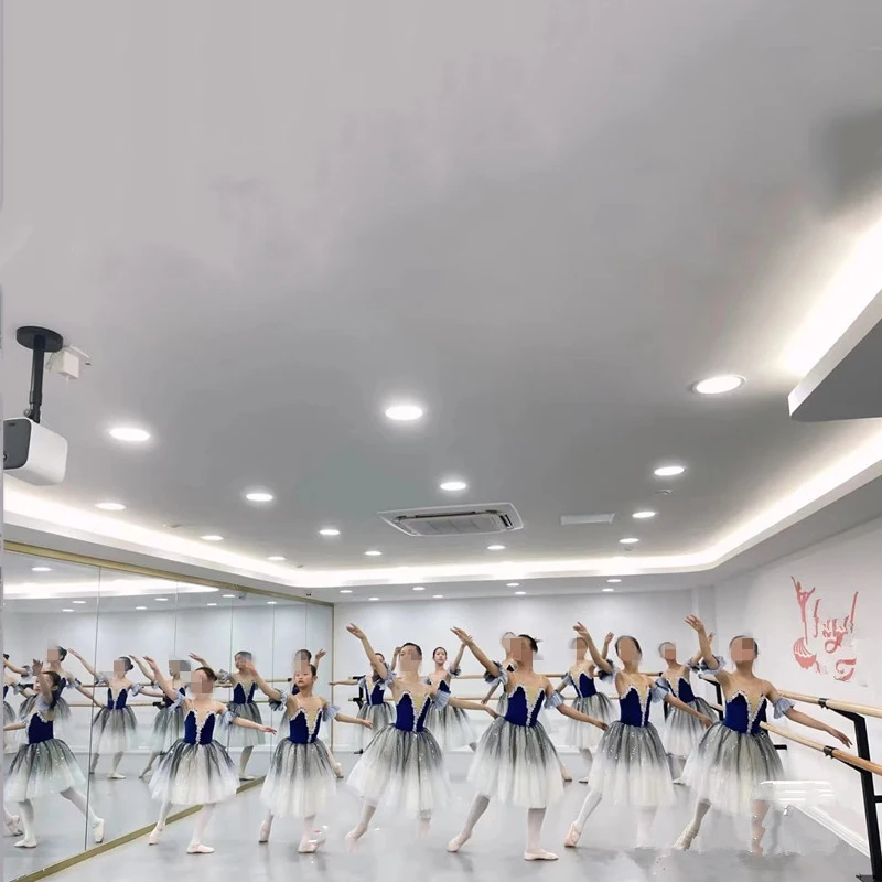 

Blue Adult Long Tutu Professional White Swan Lake Ballet Costume Ballet Tutu Ballet Dresses Performance Dancewear Velvet Top