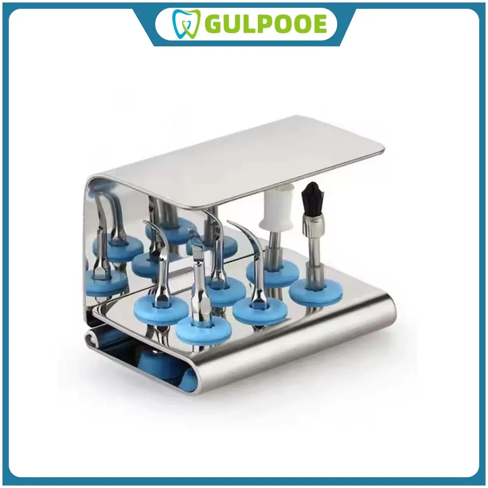 

GULPOOE Dental 6Holes Ultrasonic Scaler Tip Holder Sterilizer Stand Stainless Steel Root Canal File Disinfection Box Dentist Lab