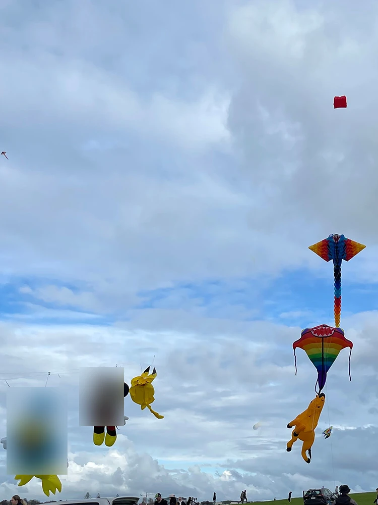 9KM 3,5 m-4 m Anatra e topo Aquilone Linea Ciondolo per bucato Morbido gonfiabile Spettacolo Aquilone per Festival di aquiloni 30D Ripstop Nylon con borsa