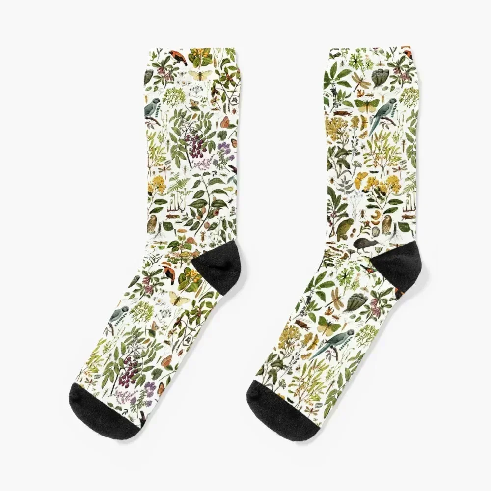 

New Zealand Biology Socks christmass gift sheer luxe warm winter Boy Socks Women's kids cycling short Socks Male Women's