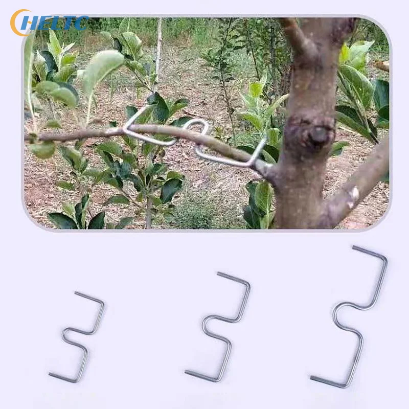 

10Pcs M-Shaped Fruit Tree Branch Shape Fixators Trees Support Holder Plants Vine Trainers Steel Wire Branch Bending Tools