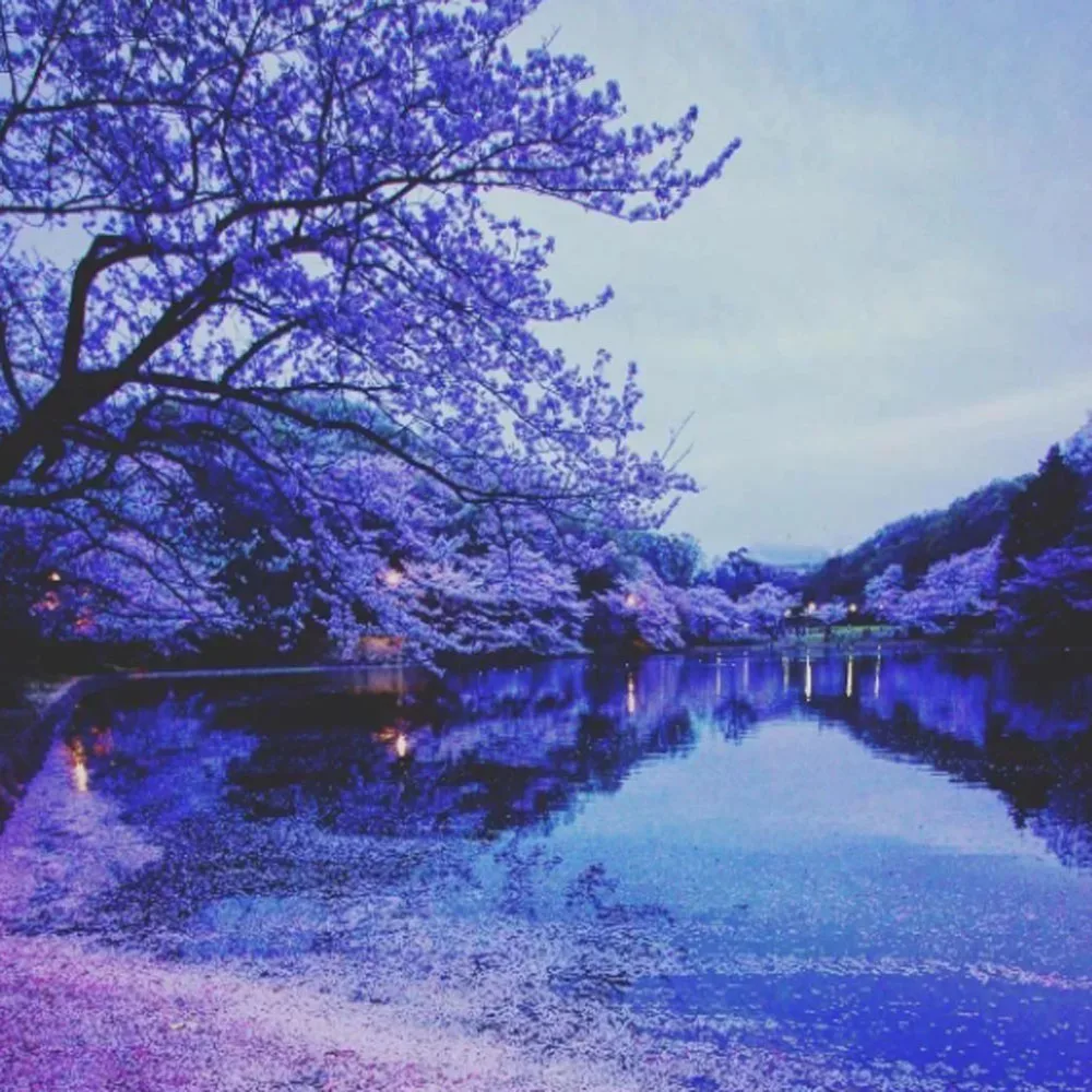 

C13S210052 Original Print Head Cleaning Set for Epson SC B9080 F9300 F9370 F9340 F9360 F9380 F2000 S30600 Cleaning Wiper Assy