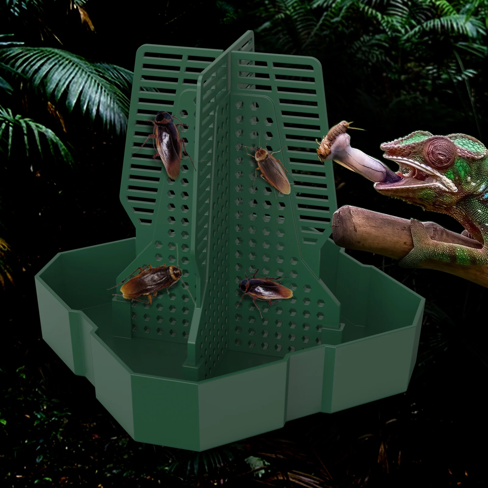 1 cricket, Dubia cockroach, live food, climbing predation dish, lizard, frog feeding basin