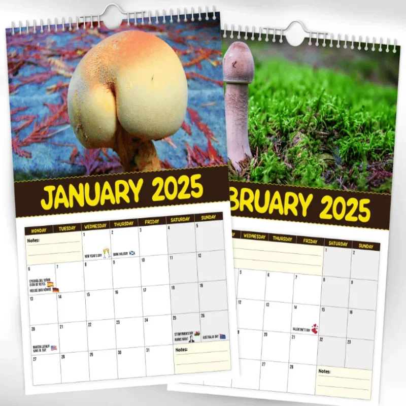 World's Greatest Mushrooms - 2025 Wall Calendar 2025 Desktop Annual Countdown Calendar 2025 Mushroom Pattern Calendar