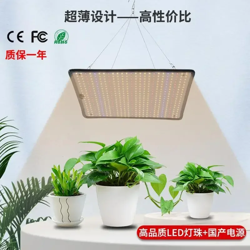 Luz LED para plantas de interior, Panel de espectro completo, lámpara Phyto para cultivo, plantación de plántulas de flores, caja de cultivo hidropónico