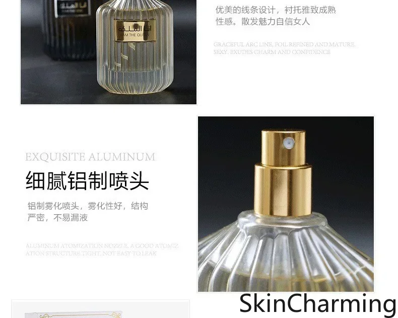 High Quality brand 2024 Lasting Fragrance Body Spray Perfume Floral Scent Pheromone Eau De Parfum Men Cologne 100ml Parfumer