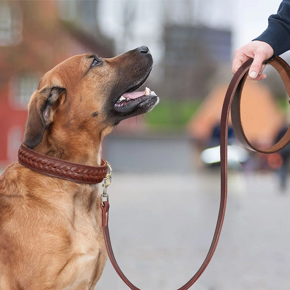 Braided Genuine Leather Dog Collar and Leash Set Soft Durable Medium Large Dogs Collars Adjustable for Pitbull German Shepherd