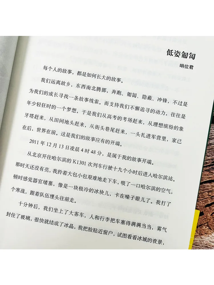 كتاب وينشير كروتشينج منخفض المستوى