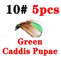 caddis pupa green