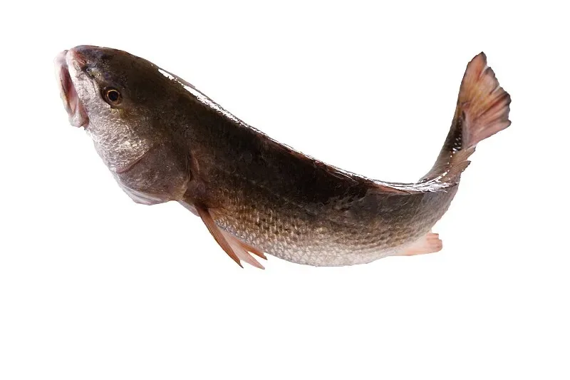 

Держатель сервопривода из алюминиевого сплава, обработанный на ЧПУ, S3003, крепление для сервопривода для радиоуправляемых моделей самолетов, лодок, автомобилей