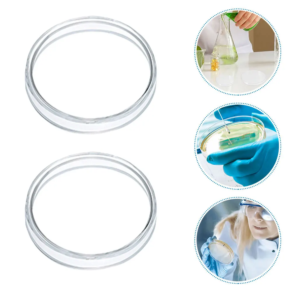 

10 Pcs Plastic Petri Dish Plates Bracket Dishes Bulk Equipment and Supplies
