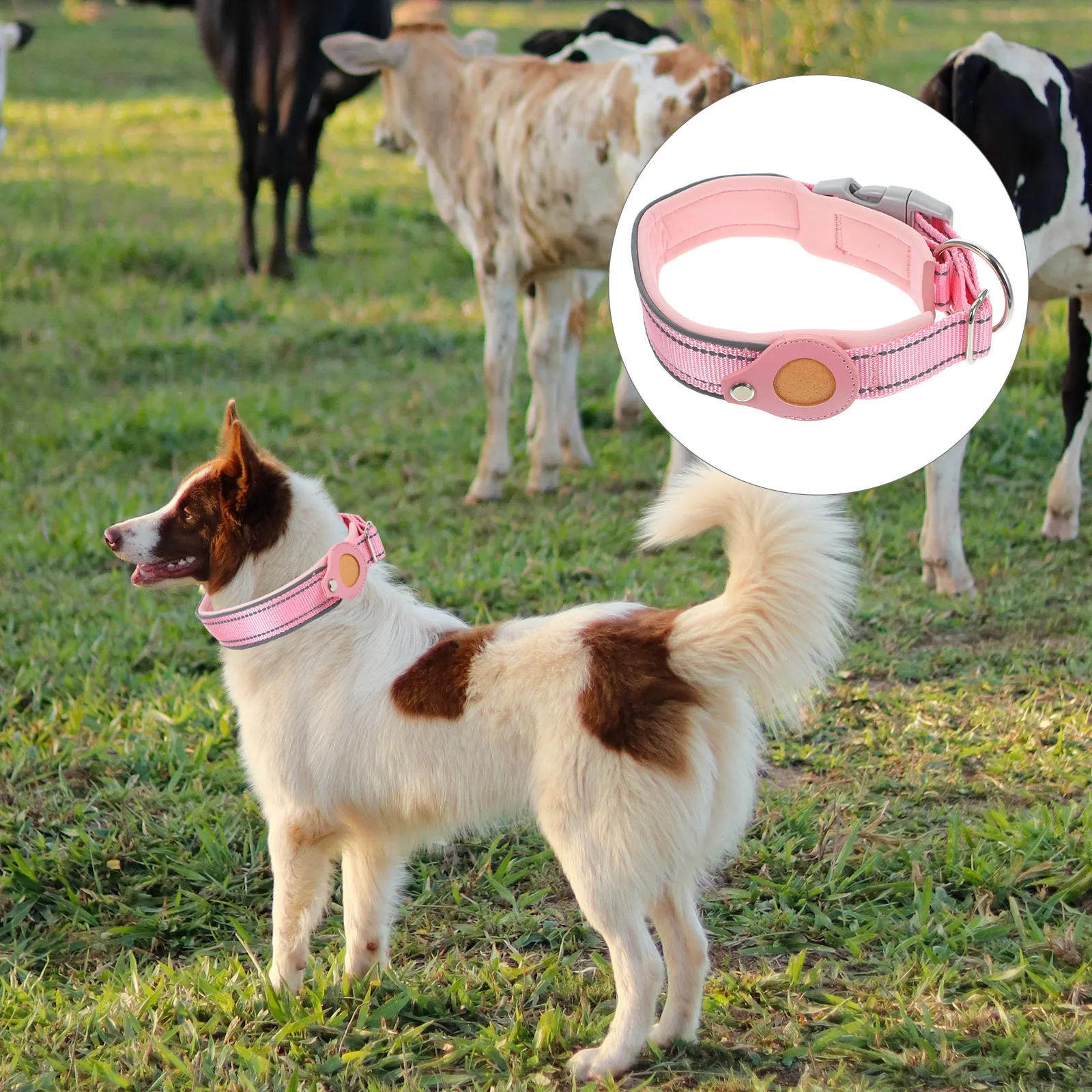 

Decor Protector Pet Anti-lost Collar Tracer Case Supplies Protective Belt Neck Decoration Puppy Holder Shell