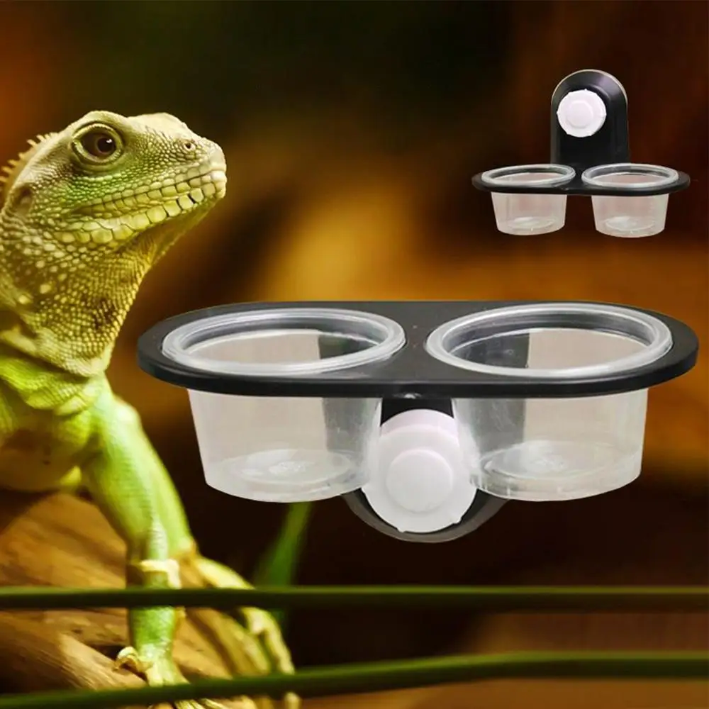Reptilienzubehör: Insekten-, Spinnen-, Ameisen-Nester, Schlangen-, Gecko-Futter- und Wasserschalen, Terrarium-Zuchtkästen, Tierbedarf – Detail 11