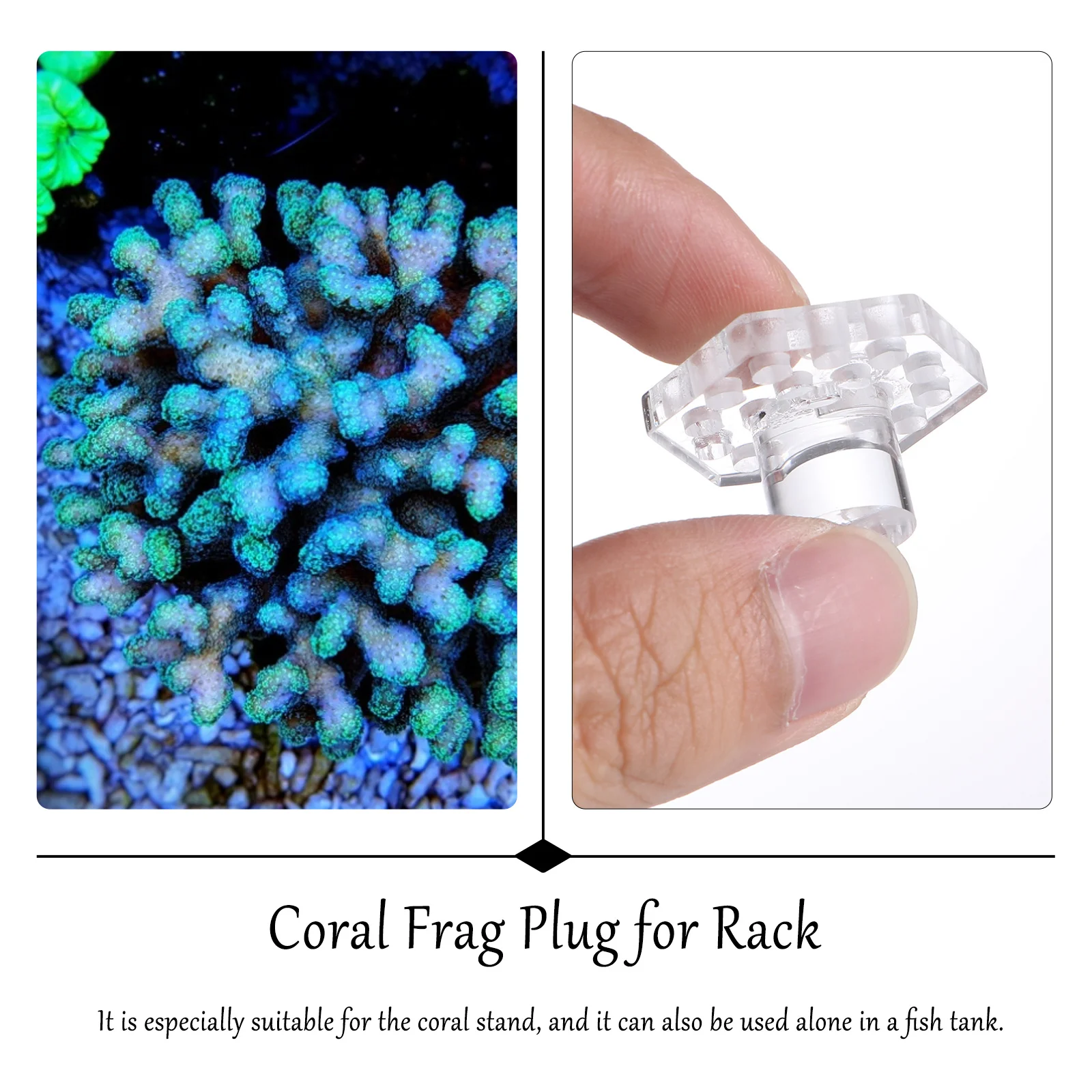 

5Pcs Coral Base Acrylic Material Strong Construction Easy Clean Aquarium Supplies Coral Rack Aquarium Supplies