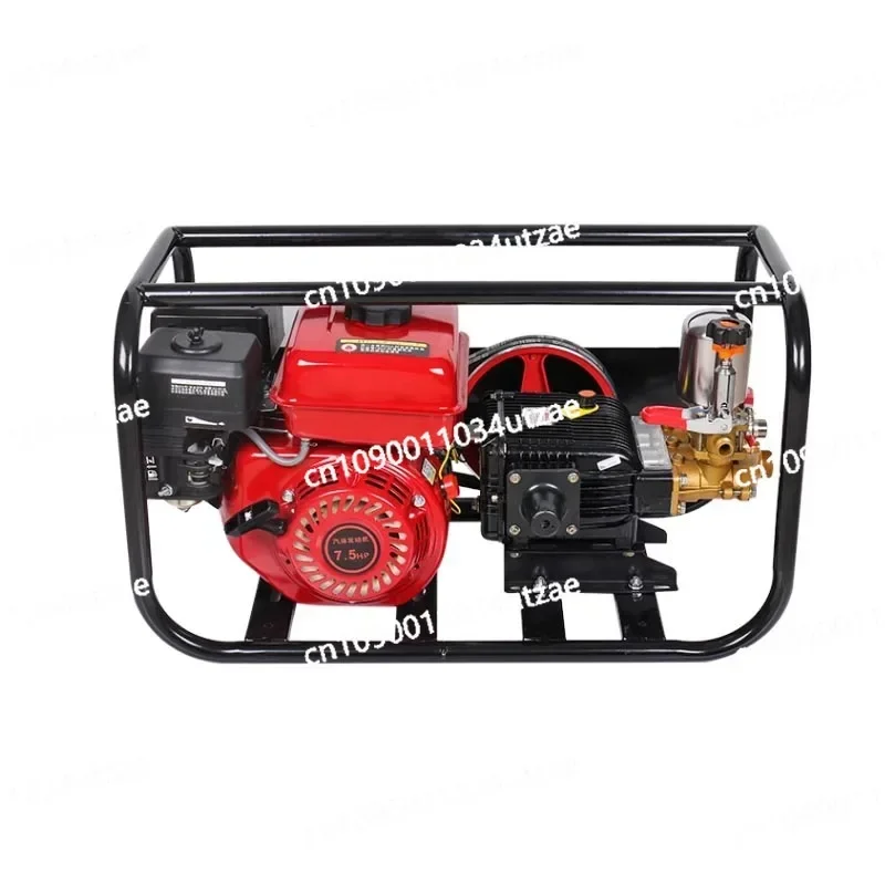 High Pressure Four Stroke Gasoline Agricultural Three-cylinder Plunger Pump Sprayer Garden Mountain Fruit Trees Sprayer