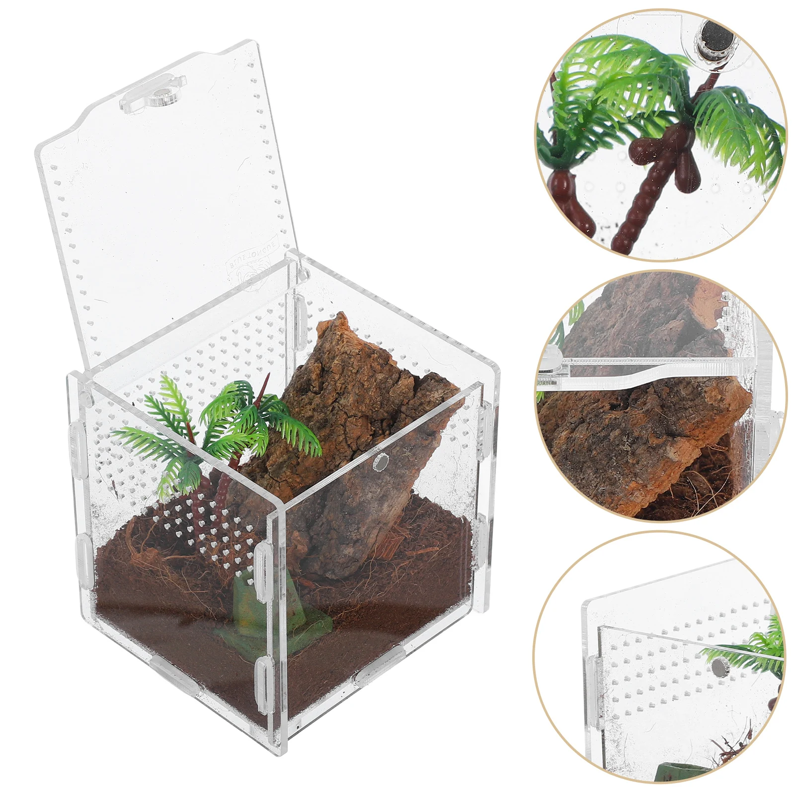 

Transparent NonCapturing Terrarium Small Spider Box Compact Design Jumping Spider Home Use Gecko Enclosure Tarantula Accessories