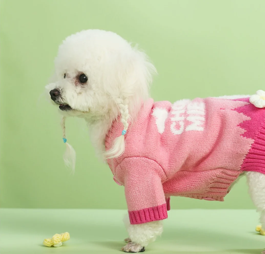 Dog and Cat Sweater, Pet Clothes, Autumn and Winter, New