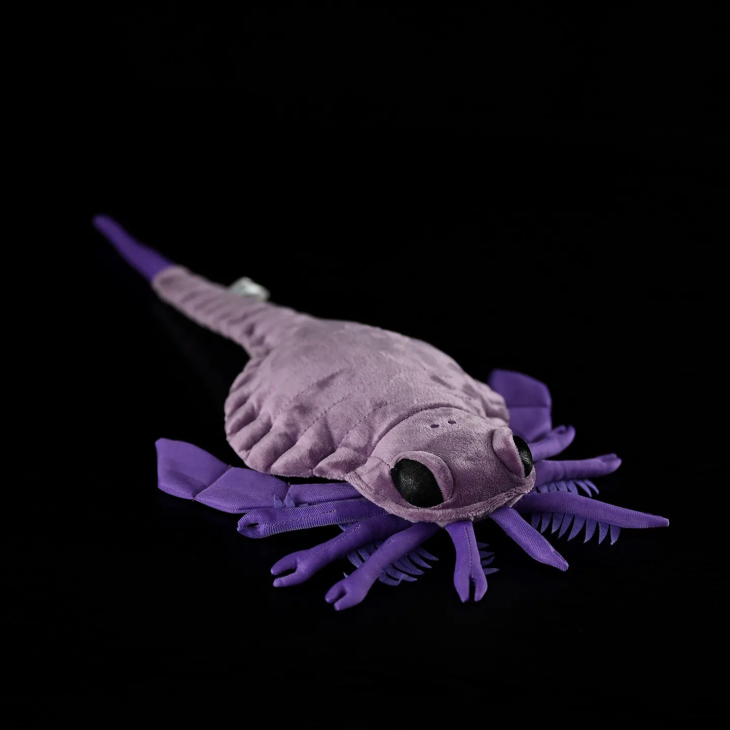 Palaeo-Biological Series: Simulated Crab,Carcinosoma,Eusarcus,Knickknack,nicknack,Small ornaments and miniature models