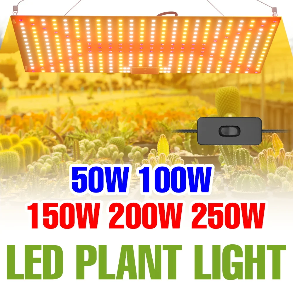 250 واط الطيف الكامل تنمو ضوء LED الكم مجلس زراعة النباتات مصباح الدفيئة خيمة الفاكهة البذور زهرة الخضار ملء الإضاءة