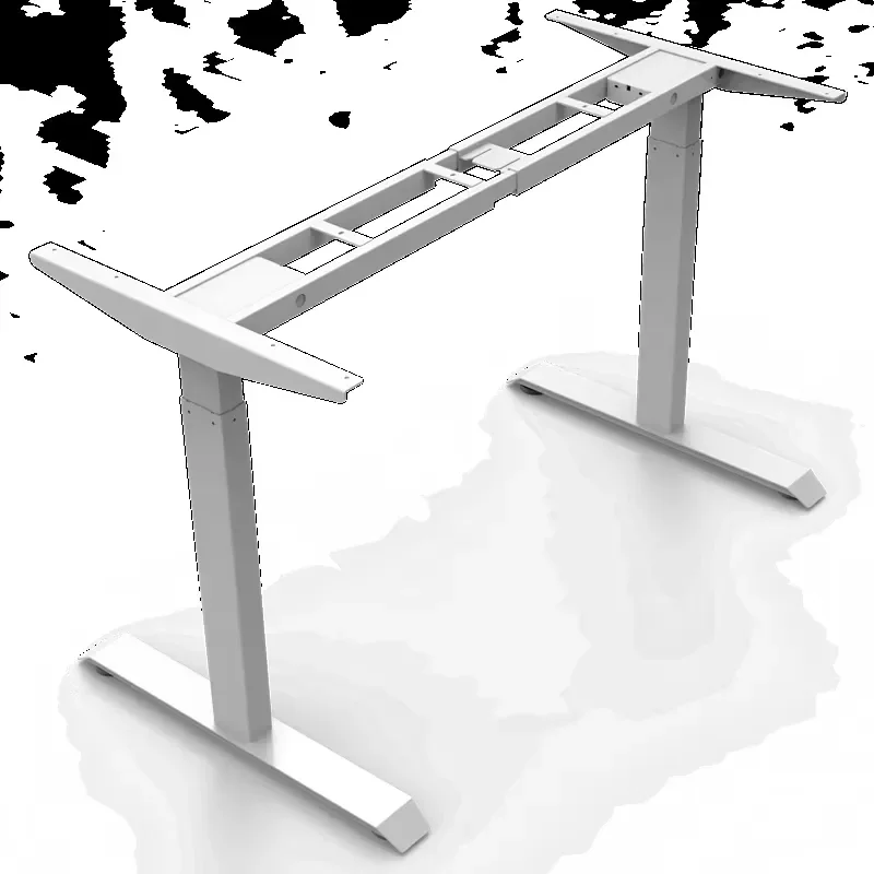 Electric Standing Desk Dual Motor Height Adjustable Computer Table Ergonomic Home Office Workstation with Type C Charging