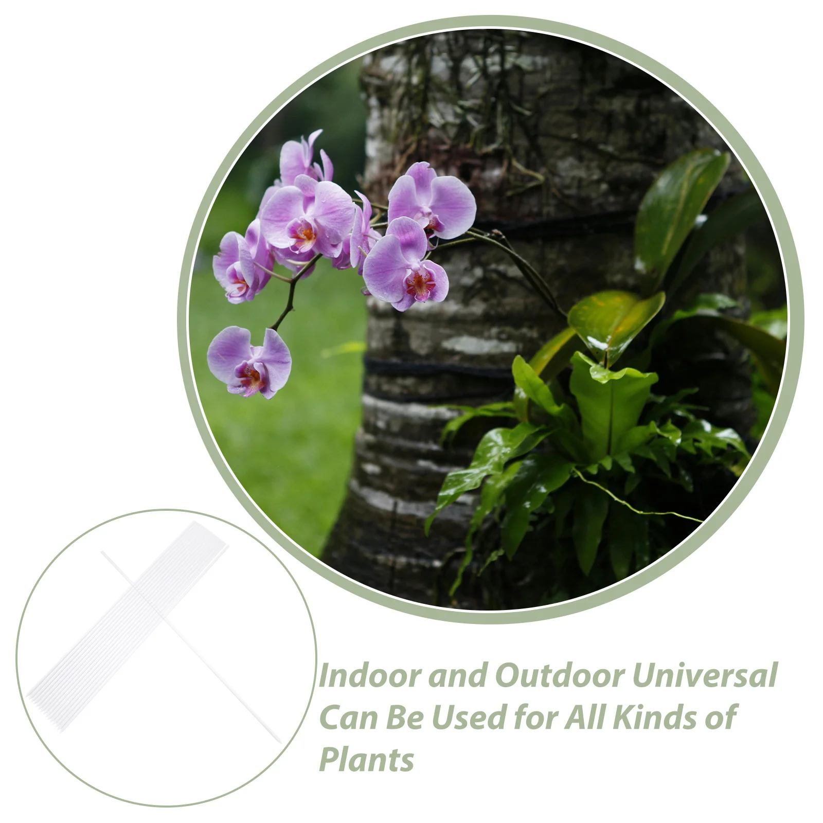 

16pcs Acrylic Plant Stakes For Orchids Single Stem Support Indoor Outdoor Potted Plants Clear Stick Garden Accessories Decor