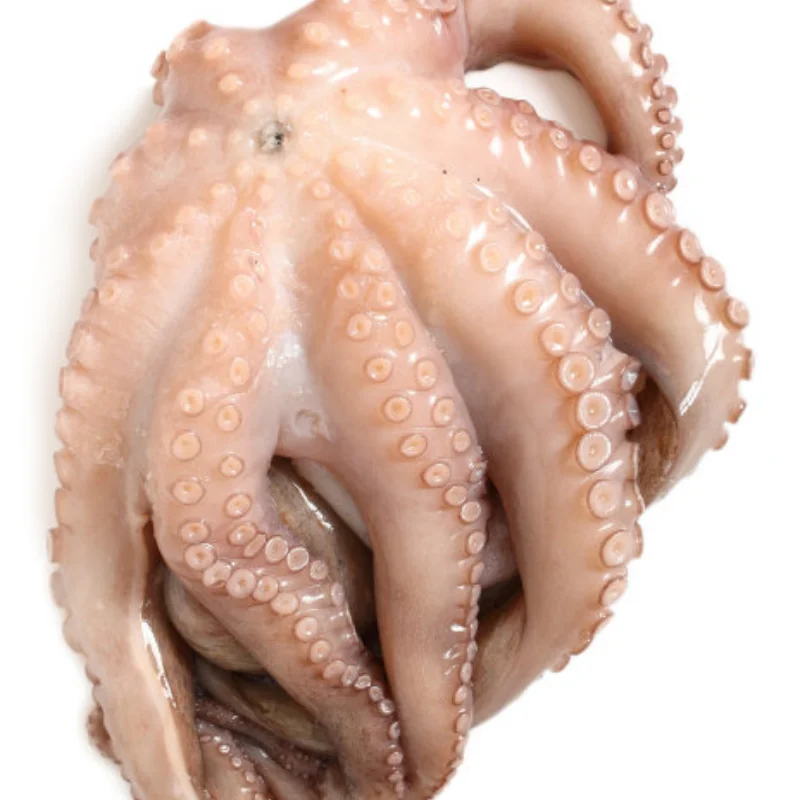 

Professional RC Wrench Set 3/4/5/5.5/6mm, Medium Carbon Steel Open End Spanner for Crawler Car Linkage Tuning Tool D339