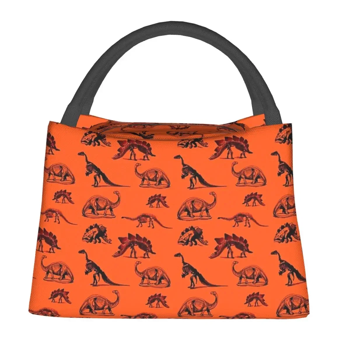 Vintage Museum Dinosaurs (smaller Version) Lunch Bags Insulated Bento Box Picnic Bags Cooler Thermal Bag for Woman Kids Work