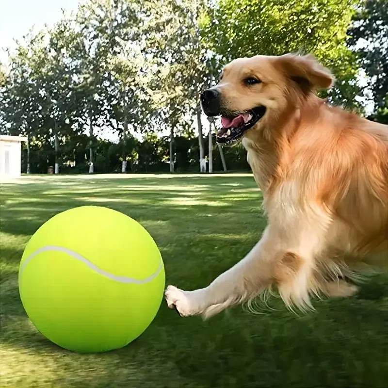 24CM Giant Tennis Ball For Dog Chew Toy Pet Dog Interactive Toys Big Inflatable Tennis Ball Pet Supplies Outdoor Cricket Dog Toy